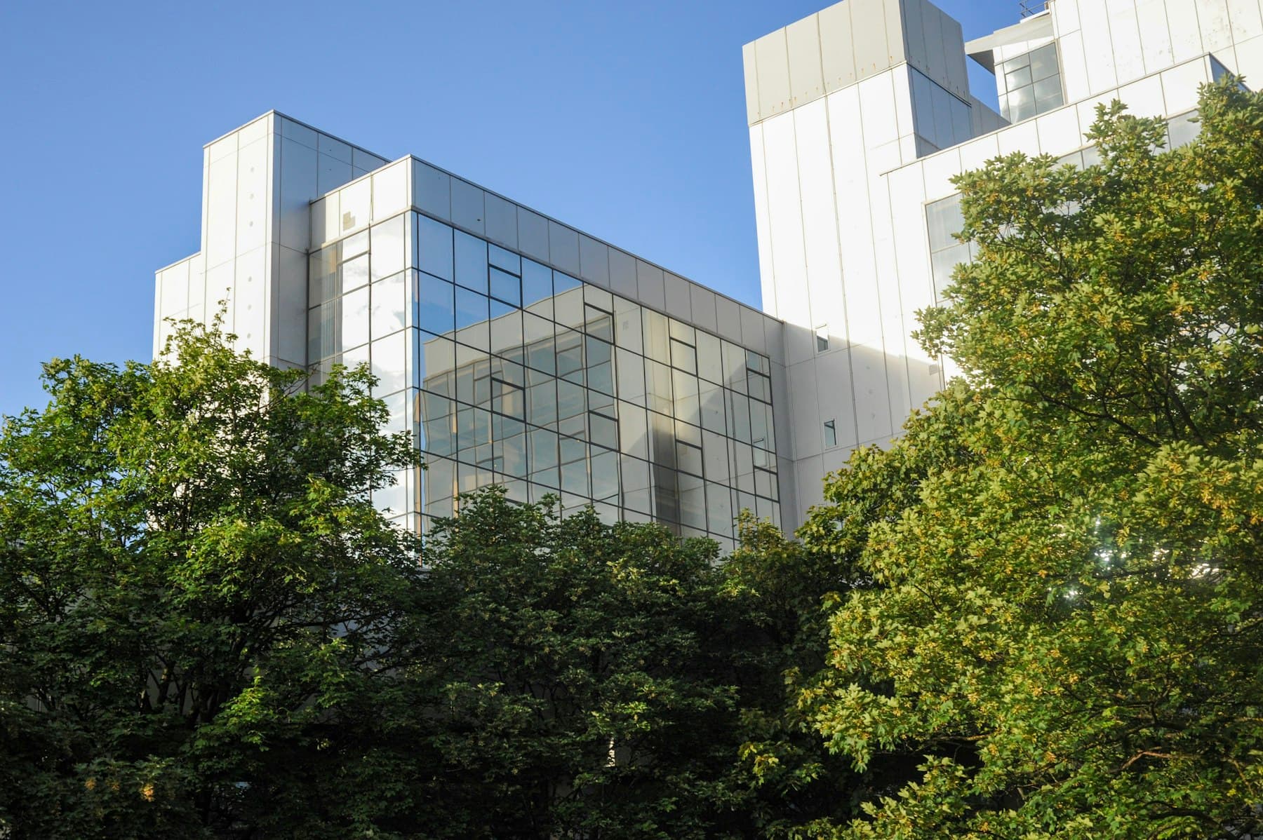 Bâtiment vitré clair entre des arbres verts sous un ciel bleu