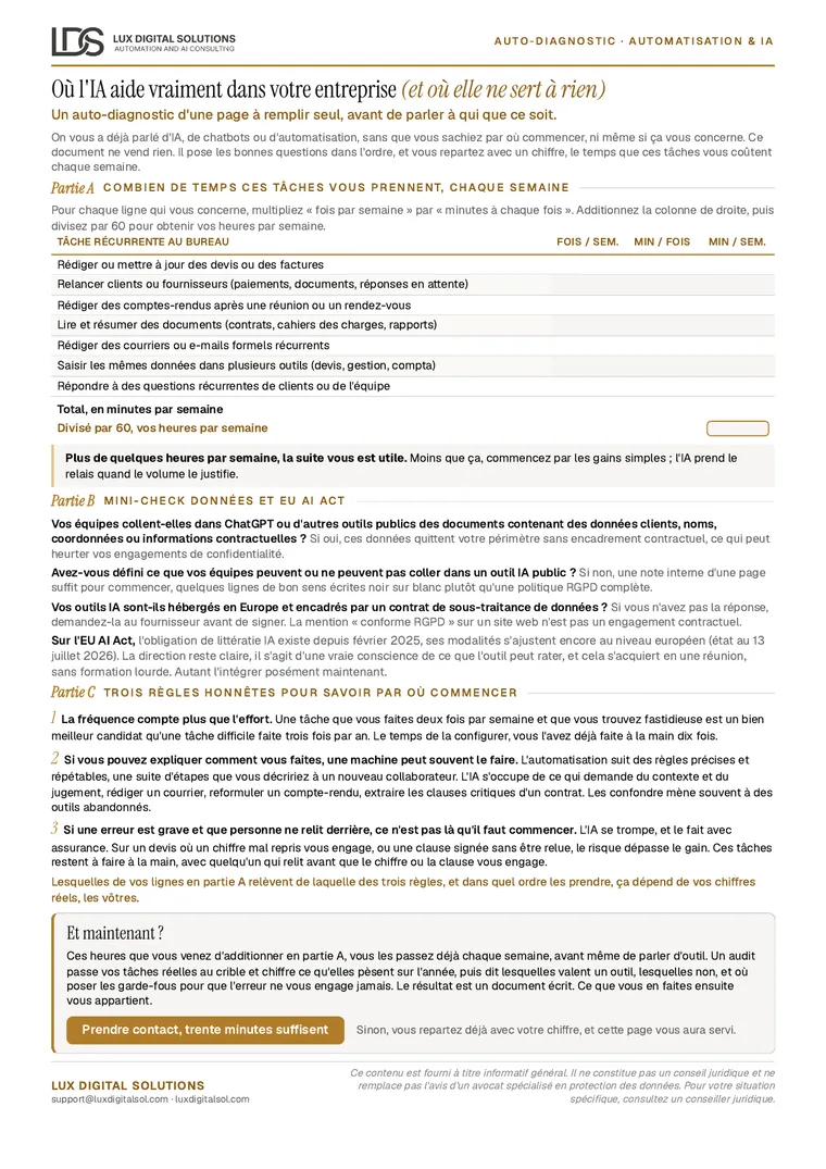 Aperçu de l'auto-diagnostic (PDF)